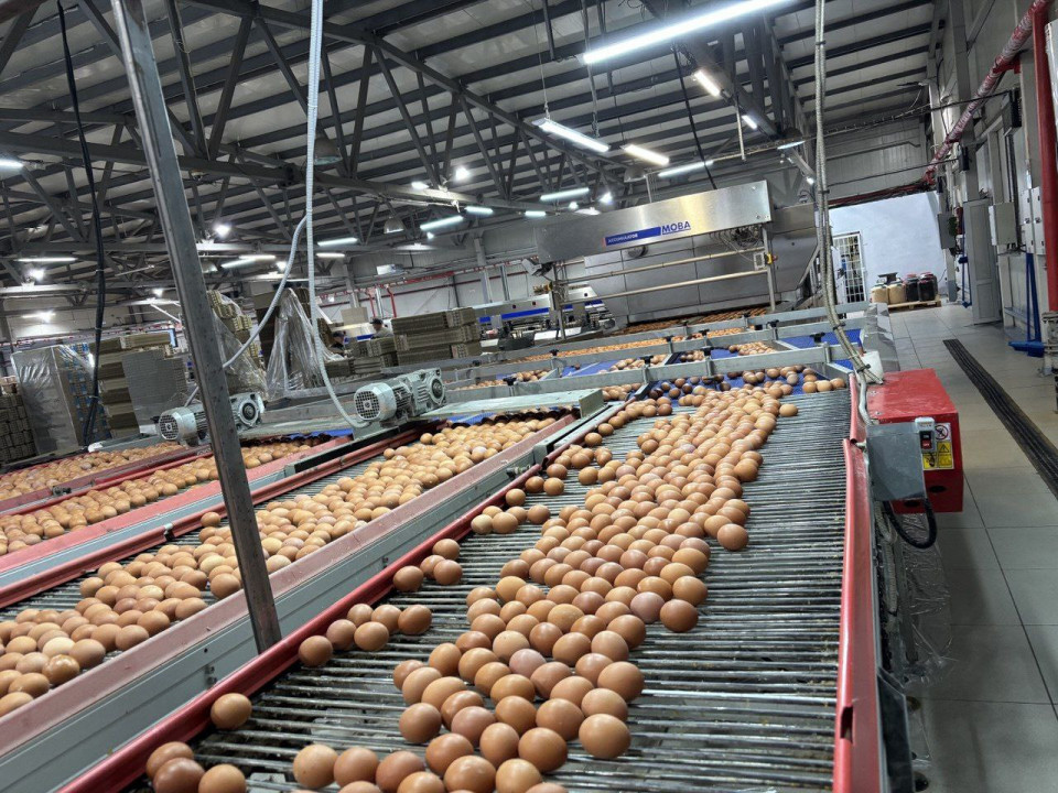 bc125aa0-3217-441f-bef7-7