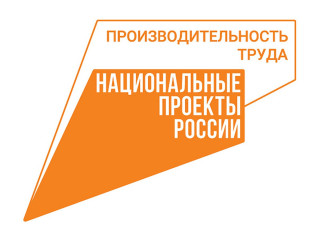 комплексная программа «Рационализатор» для работников предприятий-участников Национального проекта «Производительность труда» - фото - 1